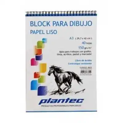 Block papel liso A3