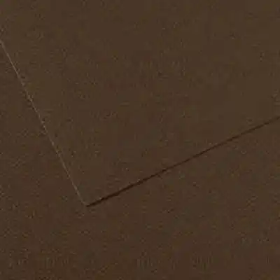 Hoja Mi-Teintes 50x65 cm (501) Marrón Oscuro 160 gramos Canson