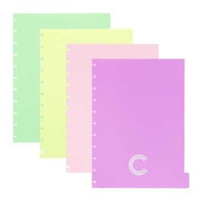 Divisores pastel A4 para Cuaderno inteligente x4 unidades We Ci