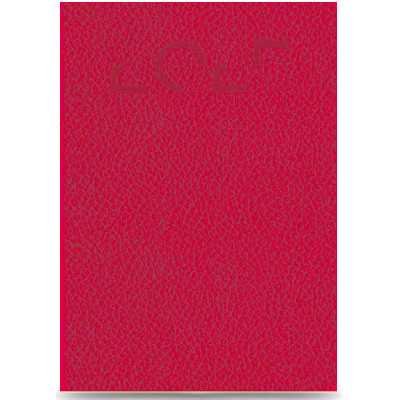 Agenda Nº7 Diaria Colfosco tapa flexible rojo encuadernada Talbot