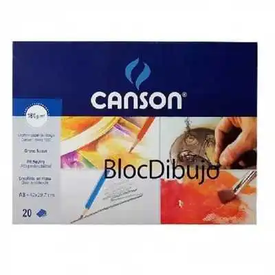 Block Dibujo universitario 35x50 cm de 180 gramos x20 hojas Canson