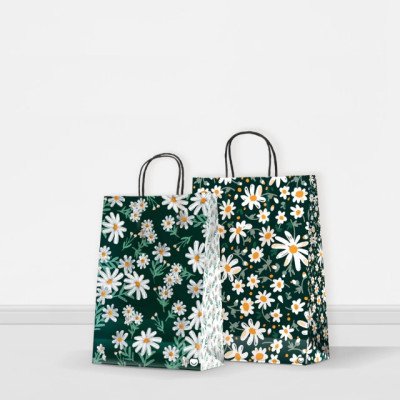 Bolsa regalo luna Daisies 14x08x20 cm Premium Pack