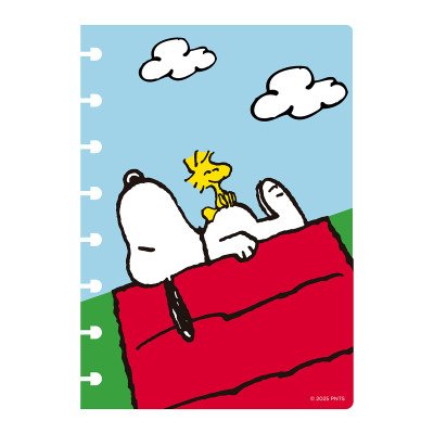 Repuesto refill organizador A5 Snoopy Mooving Loop