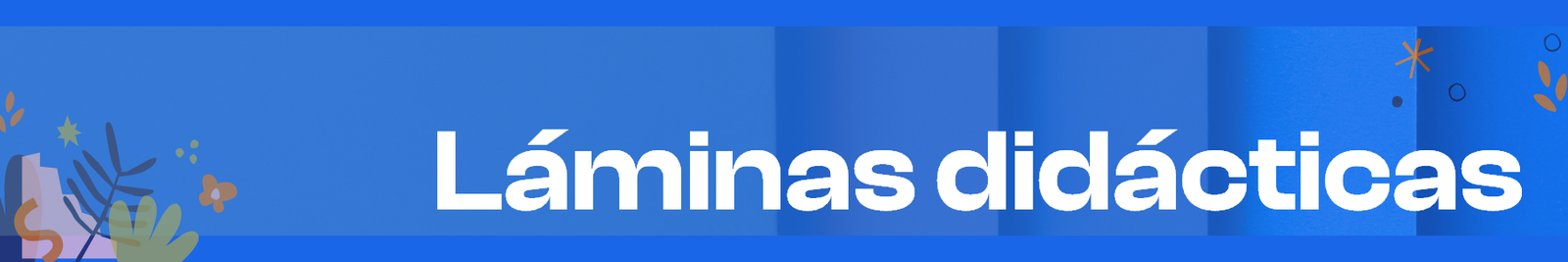 Laminas didacticas