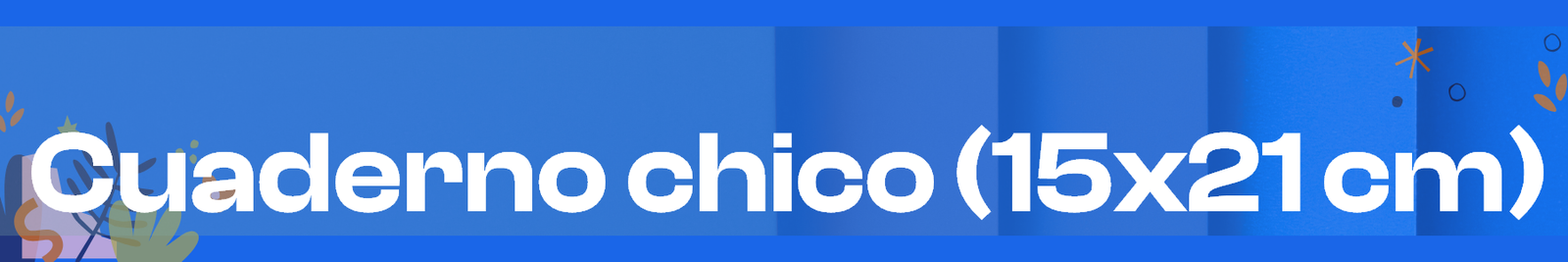 Cuadernos chicos (15x21 cm)