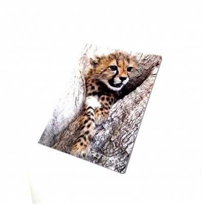 Cuaderno emblocado A4 tapa flexible Tenderness x 40 hjs rayado