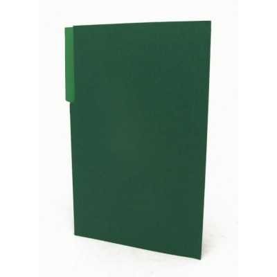 Carpeta interna Nepaco verde