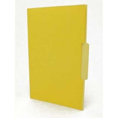 Carpeta interna Nepaco amarillo