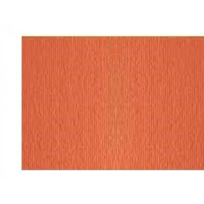 Cartulina Elle Erre 50x70 cm ARAGOSTA 220 gramos Fabriano