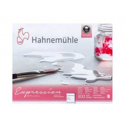 Block Acuarela 24x30 cm Expression 100 % Algodon Grano Fino de 300 gramos x20 hojas Hahnemühle