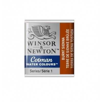 Acuarela Cotman Tierra de Siena Tostada x hp (medio pan) Winsor & Newton
