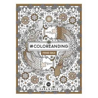 Libro para pintar Coloreanding Feng Shui V&R Editoras
