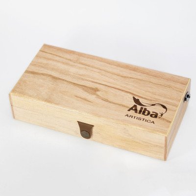 Valija Chica de Temperas Profesionales x12 colores para artista Alba