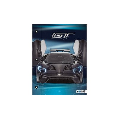 Carpeta N°3 con cordón Ford II Mooving