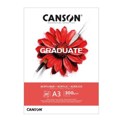 Block A3 de 300 gramos Graduate Acrilic x20 hojas Canson