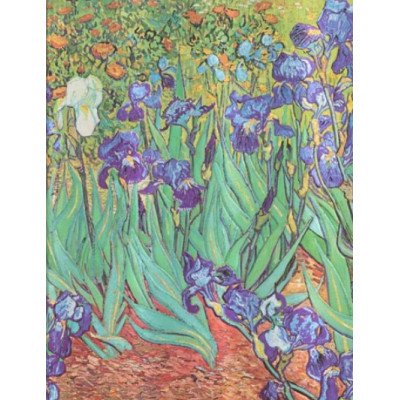 Cuaderno Lirios De Van Gogh Ultra-Rayado Paperblanks