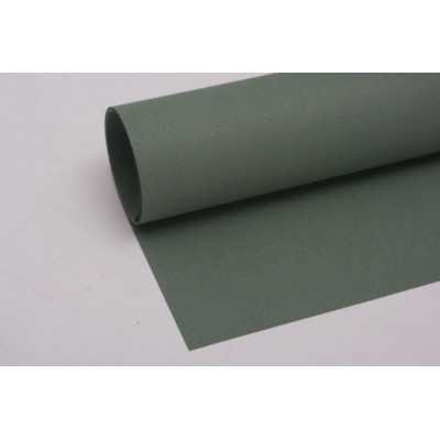 Hoja Tiziano 160gr 50x70cm 013-Salvia Fabriano