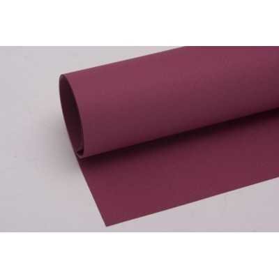 Hoja Tiziano 160gr 50x70cm 024-Viola Fabriano