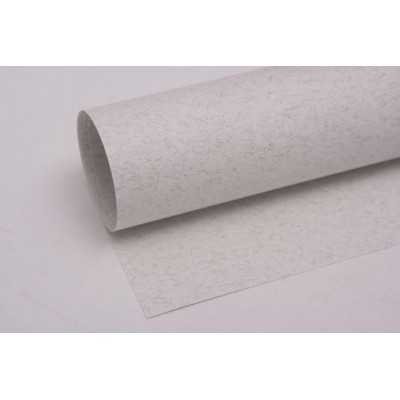 Hoja Tiziano 160gr 50x70cm 032-Brina Fabriano