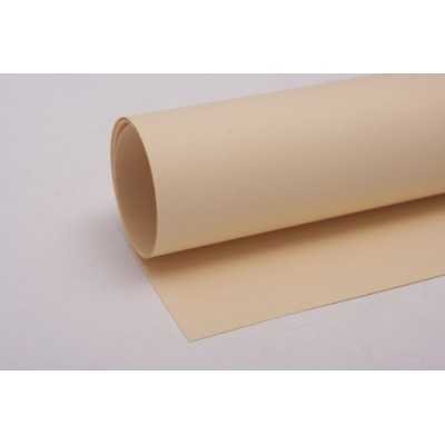 Hoja Tiziano 160gr 50x70cm 040-Avorio Fabriano