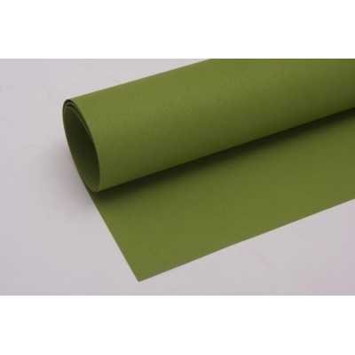 Hoja Tiziano 160gr 50x70cm 043-Pistaccio Fabriano