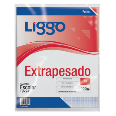 Folios escolares Extra Pesado x 10 unidades Liggo